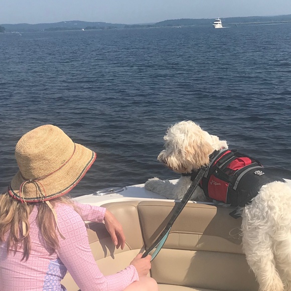 Meet your Posher, Amy - Picture 1 of 1